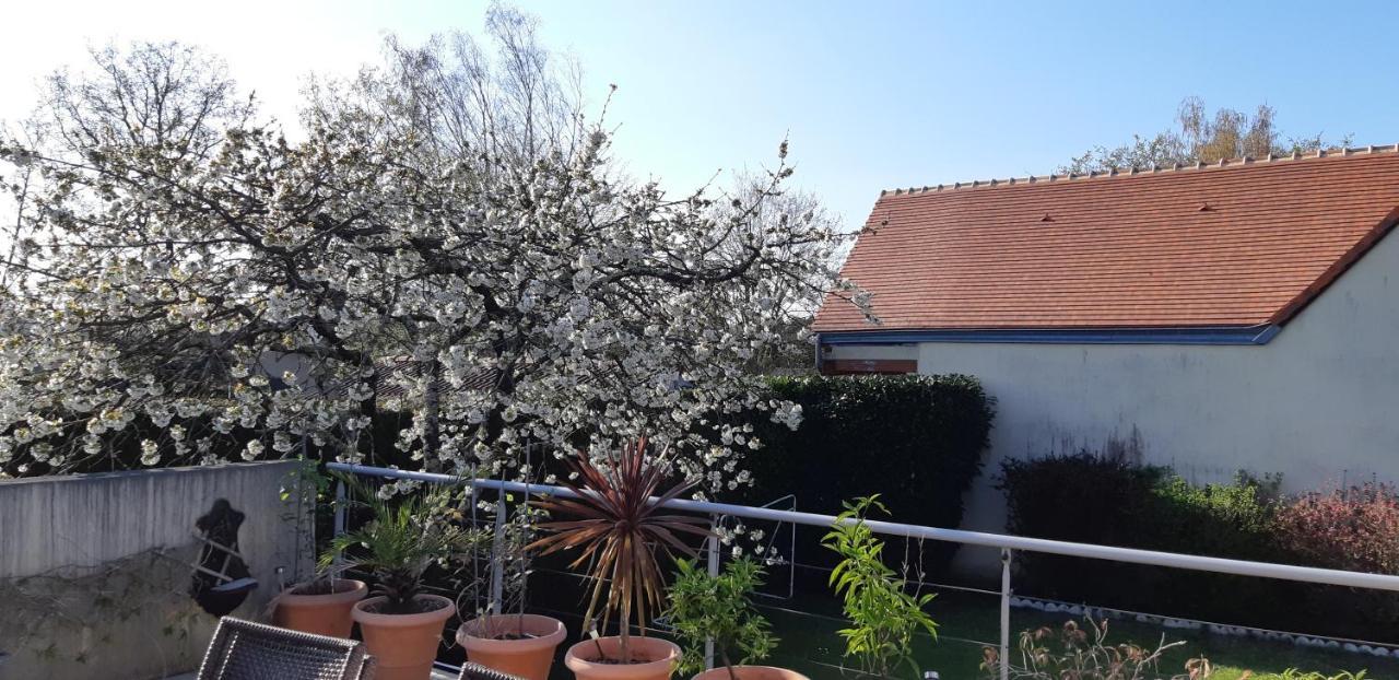 Chambre D'Hote - La Ruche Des Bleuets Mulsanne Екстер'єр фото